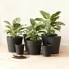 Macetas de Plástico Rayadas Horizontalmente Engrosadas en Varios Colores y Tamaños, Ligeras y Duraderas, Adecuadas para Plantas y Flores Artificiales, Macetas Decorativas Versátiles