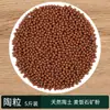 Tierra Nutritiva Carnosa Siembra de Verduras Cultivo de Flores Tierra Universal para Plantar Flores Tierra Transpirable para Plantar Flores Hogareña Perlita Puerro