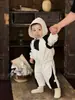 Atuendo Guapo Estilo Coreano de Principios de Primavera para Bebés Niños, Sudadera con Capucha de Bloques de Color Elegante de Primavera y Otoño y Pantalones Cargo Casuales