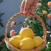Limón Amarillo Fragante Auténtico de Guangdong, Fruta Fresca de Temporada para Preparar Bebidas, Limones Seleccionados de Piel Delgada, No Limones Amarillos de Sichuan
