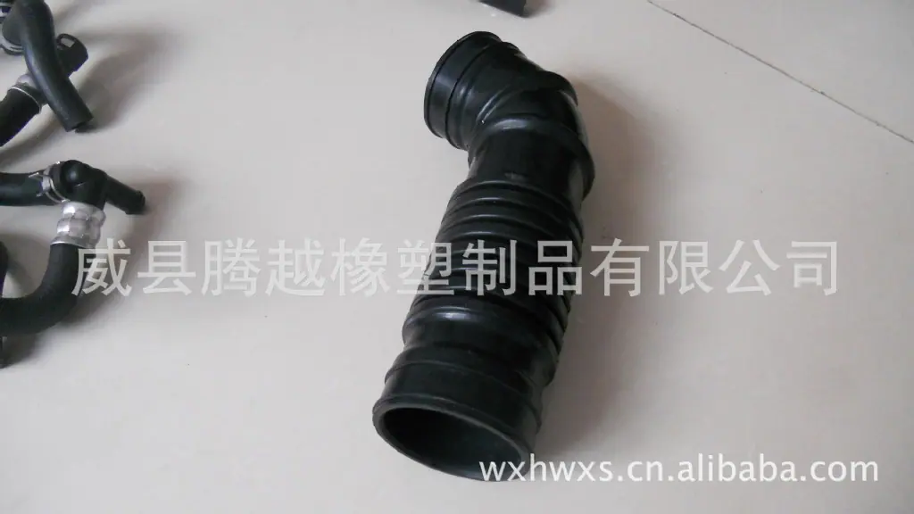 DSCN0520