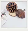 Envío Gratis 30 Piñas Flores Secas Decorativas Hecho a Mano Paquete de Materiales Creativos DIY Decoración del Hogar Ramas Secas Piñas Escama de Pez