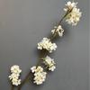 Novos Enfeites de Arte de Flor de Cerejeira Simulada Flor de Pera Casamento Casa Props de Fotografia Meichen com Flores Artificiais Lote Transfronteiriço
