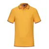 Camisa polo camiseta cuello solapa camisa de publicidad cultural manga corta ropa de trabajo uniforme del personal Paul logo estampado uniforme de clase bordado