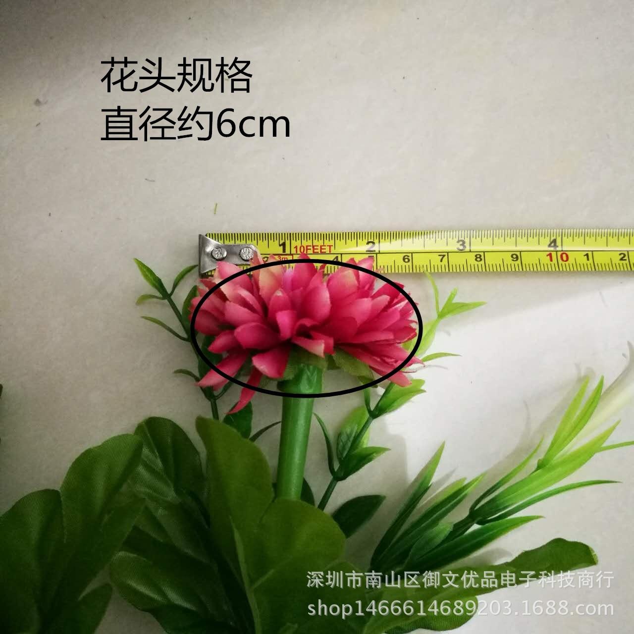 9头绿百合海葵 花头_副本