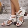 Comercio Exterior Zapatos de Mujer de Talla Grande Europeos y Americanos 2025 Verano Nuevo Transfronterizo Tacón Grueso Tacones Altos Recortes Sandalias Boca de Pez para Mujer al Por Mayor
