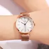 GEDI Relógio Feminino Estilo Nórdico Simples Transfronteiriço Casual Elegante Pulseira de Aço Relógio de Pulso Feminino Tendência Modelo Clássico