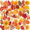 50 peças Adesivos Transparentes Folha de Bordo Ginkgo Outono Retro Decoração para Copo de Água Diário Parede Adesivos Impermeáveis Transfronteiriços ins