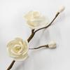 Flor Seca DIY Aromaterapia Difusor de Fragancia Accesorios Ratán Botella Vacía Adornos Varillas de Fibra Difusora Set de Fragancia