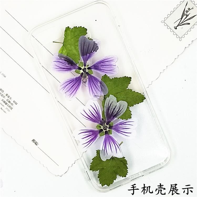 IMG20190914150430.jpg