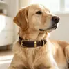 Fecho de Latão Coleira Vintage para Animal de Estimação Coleira de Couro Genuíno Camada Superior Couro de Vaca Coleira para Cachorro Gola de Pescoço Gola de Pescoço