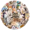50 Adesivos Transparentes Fofos de Expressões de Gato, Capas de Celular, Malas, Copos de Água para Guitarra, Adesivos à Prova d'Água