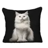Funda de Cojín para Sofá Transfronteriza, Felpa Corta Amigable con la Piel, Linda Funda de Cojín de Animal Gato, Funda de Cojín para Sala de Estar, No Incluye Relleno