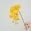 Phalaenopsis Simulada de Alta Gama 9 Cabezas 7 Cabezas 5 Cabezas Tacto Película Flores Falsas Boda Decoración del Hogar Orquídea Europea Venta al por Mayor