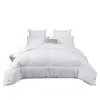 Colcha Amazon Transfronteiriça Colcha Colcha Primavera e Outono Núcleo de Colcha Roupa de Cama de Inverno Cor Sólida Simples Colcha de Quatro Estações