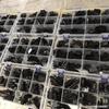 Acessórios Multifuncionais Fivela de Conector de Plástico Caixa Conjunto Completo