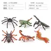Simulación Transfronteriza Modelo de Araña Real Unicornio Insecto Juguetes para Niños Mariposa Abeja Adornos de Animales