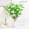 Jiuli Perfume Plantas en Maceta Flores y Plantas Verdes para Sala de Estar Interior Repelente de Mosquitos para Balcón Floración en las Cuatro Estaciones Bueno para Flores de Escritorio