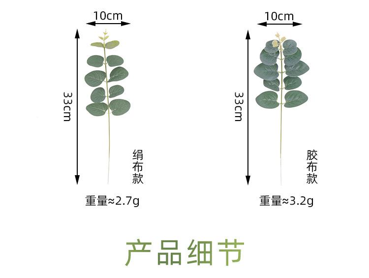 尤加利