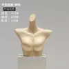 Accesorios de Maniquí para Ropa Interior de Mujer y Hombre, Maniquíes de Plástico Blanco Mate de Medio Cuerpo para Exhibición en Vitrina y Estantes de Exhibición al por Mayor