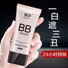 Corretivo Iluminador BB Cream Controle de Oleosidade Maquiagem de Longa Duração Fv Isolante à Prova d'Água e Suor Base Líquida para Meninas Estudantes Atacado