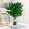 Bambú Guanyin, Bambú Rico, Plantas Hidropónicas con Raíces, Florales y Plantas Verdes, Bambú de Interior en Maceta, Cultivado en Agua, Fácil de Mantener, Repelente de Mosquitos Sala de Estar