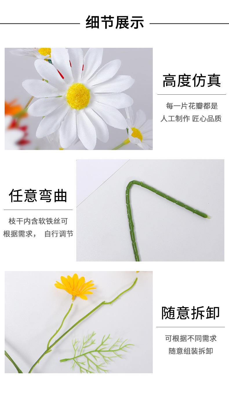 详情页_10.jpg