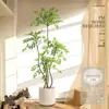 Planta Nandina Aterrizaje Planta en Maceta Interior Grande Biónica Verde Adornos Sala de Estar Lujo Ligero Flor Decorativa Árbol Falso