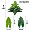 Fabricante de Plantas Verdes Artificiales, Hojas de Calathea, Plantas de Hojas de Colores, Plantas Verdes en Maceta de Piso, Árboles Artificiales, Decoración de Interiores para el Hogar, Suministro Transfronterizo
