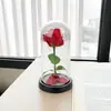 Flor de Rosa Artificial de Tela en Cúpula de Cristal, Regalo del Día de San Valentín, Luz Nocturna Pequeña Transfronteriza, Adorno Creativo de Flor Eterna