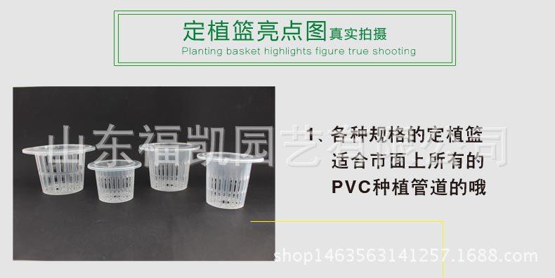 56#-100#定植篮详情页_06