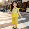 Conjunto de Verão para Meninas 2026 Novo Estiloso Calça Anti-Mosquito com Mangas Pequenas Volumosas Conjunto de Duas Peças Roupa Infantil Roupa de Verão