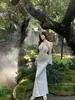 Traje de Baño de Dos Piezas con Falda Triángulo Estilo Nuevo 2026 para Mujer, Oculta el Vientre y Adelgaza, Adecuado para Vacaciones en la Playa y Baño en Aguas Termales [Disponible para Dropshipping]