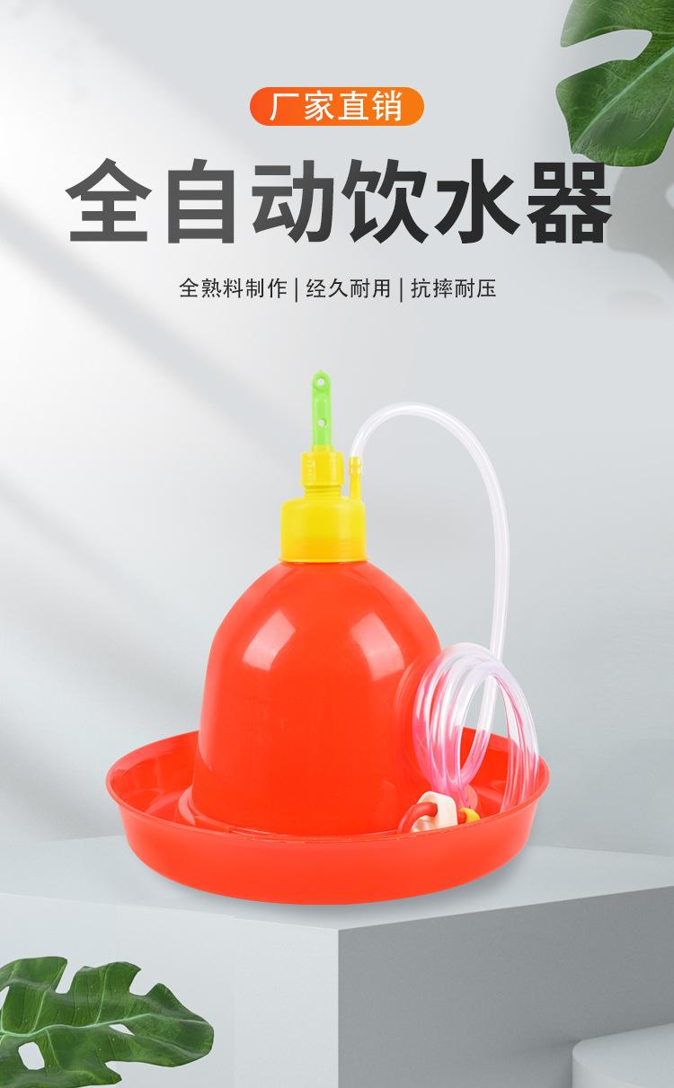 详情_02.jpg