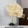 Flores Artificiales Color Champán para Bodas al Aire Libre, Decoraciones de Fondo de Boda, Adornos para Sala de Estar en Casa, de Alta Gama y Realistas