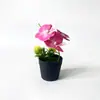 Mini 3 orquídeas Phalaenopsis artificiais em vasos aveludados, fornecimento de exportação direta, flores artificiais de toque realista, bonsai, adereços para fotografia