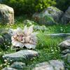 Espíritu del Agua Transfronterizo Flor de Loto Bebé Jardín Estaca Maceta Acrílica Decorativa Trampa de Sol con Arte de Paisaje de Jardín
