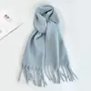 Bufanda de Color Sólido para Mujer Invierno Nuevo Bufanda de Imitación Cachemir Europea y Americana Bufanda Cálida Multicolor Transfronteriza Chal Largo Venta al por Mayor
