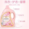 Bicarbonato de Sodio Perfume Detergente para Ropa Botellas de 5 kg de Detergente para Ropa 5 kg Fragancia de Larga Duración Regalo Bienestar Dropshipping
