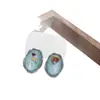 Pendientes Ovalados Elegantes de Gama Alta Estilo Francés Retro con Flores Secas y Goteo de Aceite