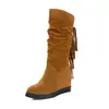 Novas Botas Casuais de Salto Alto Plataforma Interna com Franjas, Cano Médio, Botas de Algodão, Tamanhos Grandes 40-43, Botas de Comércio Exterior
