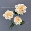 Flores Artificiales Color Champán para Bodas al Aire Libre, Decoraciones de Fondo de Boda, Adornos para Sala de Estar en Casa, de Alta Gama y Realistas