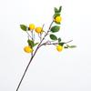 Ramas de Limonero Artificiales Modelo de Flor Artificial de Limonero Amarillo Decoración de Habitación Regalo Frutas Ramas Frutales Accesorios para Fotografía Floral