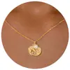 Colar Transfronteiriço Novo de Aço Inoxidável Estrela do Mar Caranguejo Zircônia Moda Feminina Versátil Estrela de Seis Pontas Cauda de Estrela do Mar Corrente para Clavícula