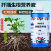 Solução Nutritiva Concentrada de Plantas Universal para Flores e Plantas, Adequada para Jardinagem, Plantas Verdes, Suculentas, Estacas, Flores em Vasos e Fertilização Hidropônica