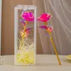 Surpresa Flor Eterna Aniversário Decoração de Mesa Flor Rosa Colorida Lembrança para Mãe Presente para Menina Presente Colorido