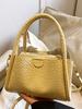 2025 Nuevo Bolso de Mano de Cesta de Verduras de Moda Textura Elegante Ins Bolso Balde Ropa de Trabajo Simple Hombro Cruzado