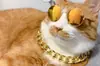 2022 vendas diretas de fábrica óculos para cão gato animal de estimação óculos de sol brinquedo tendência criativa