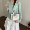 Tendencia de Moda de Primavera 2026 Transfronteriza Bolso Cruzado de Un Hombro Bolso Cubo Casual Simple de Mano Bolso para Mujer