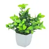 Punto Nuevo Bonsái Plantas de Decoración para el Hogar Pequeños Adornos Flores Artificiales Plantas Verdes Plantas en Maceta Flores Artificiales Fábrica Venta al Por Mayor